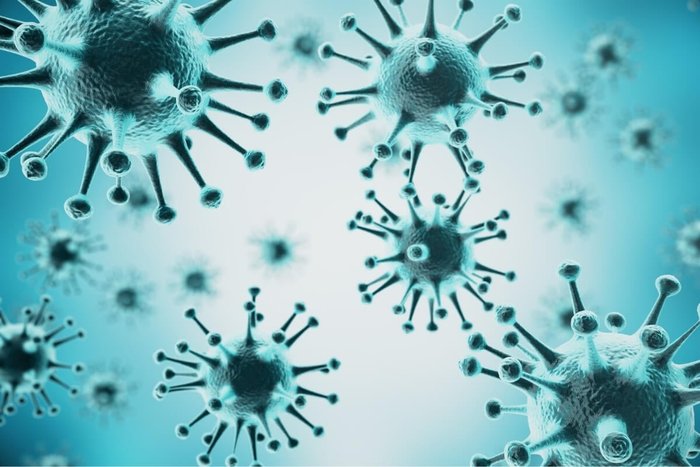 Rost9 / Shutterstock | Portal EdiCase Rost9 / Shutterstock | Portal EdiCase