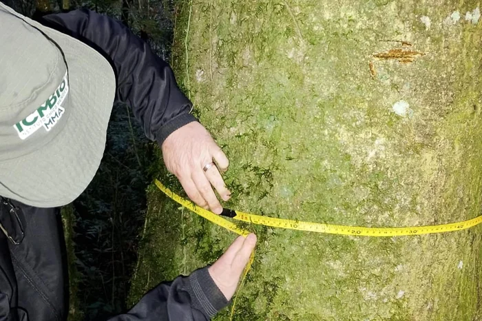 ICMBio / Divulgação