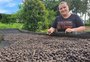 "Com sabor gaúcho": agricultores e pesquisadores apostam no RS como protagonista na produção de café