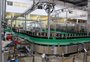 Vinícola de Flores da Cunha desenvolve suco de uva em garrafa de vinho; primeiro pedido é para a China
