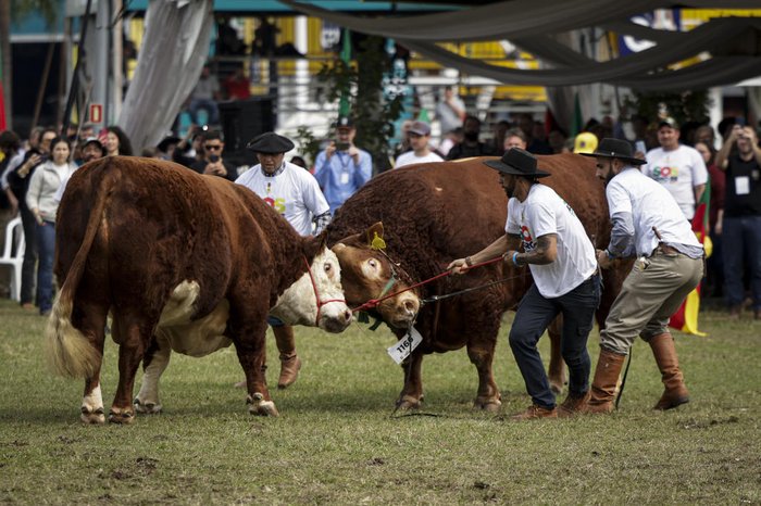 Mateus Bruxel / Agencia RBS