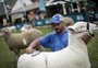 Expointer tem 6.696 animais inscritos para esta edição, alta de quase 40% 