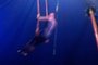 Trapezista cai de trapézioem circo em Capivari do Sul,  no Litoral Norte<!-- NICAID(15701039) -->