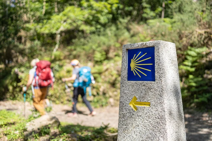 Formatoriginal / adobe.stock.com