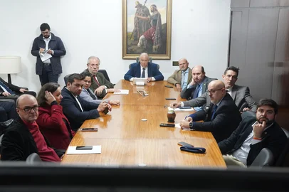PORTO ALEGRE - RS - BRASIL - 03/06/2025: Reunião com líderes das bancadas e Secretaria do Tesouro Nacional. Exposição do Propag ao Colégio de Líderes da Assembleia Legislativa do Estado do Rio Grande do Sul<!-- NICAID(16053111) -->