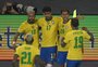 Filipe Gamba: o desinteresse pela Seleção Brasileira na Copa América