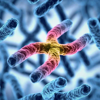 koya979<!-- NICAID(15809670) -->