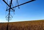 Por que faz sentido falar sobre irrigação, mesmo com previsão de El Niño