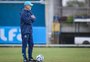 Os dois reforços que o Grêmio busca no mercado
