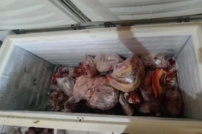 Mais de 400 kg de carne imprópria para consumo são apreendidos em operação da polícia, em Vacaria <!-- NICAID(16227947) -->