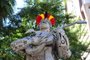 Em ato simbólico, indígenas colocam cocar na estátua de Teixeirinha em Passo Fundo<!-- NICAID(15739708) -->
