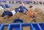 Conheça Maraísa e Valentina, as primeiras a chegarem para a 43ª Expoleite e 16ª Fenasul