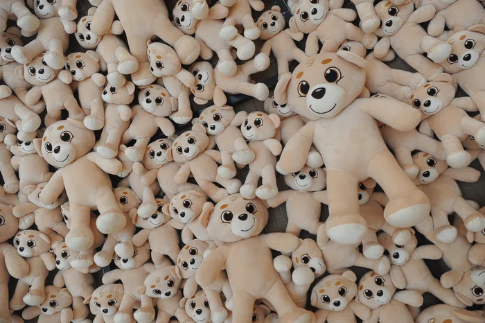 Bruno Todeschini / Agencia RBS Bruno Todeschini / Agencia RBS