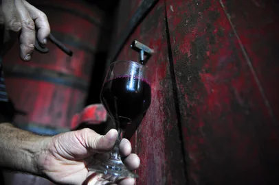 CAXIAS DO SUL, RS, BRASIL, 06/04/2017 - Leandro Pagliosa celebra a safra da uva 2017. Leandro é proprietário da Vinícola Pagliosa, localizada na estrada do Vinho, na 3ª Légua. (Marcelo Casagrande/Agência RBS)<!-- NICAID(12838493) -->