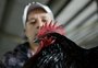 De aves a coelhos: o espaço que faz sucesso com as crianças na Expointer 