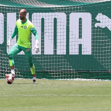Marcelo Lomba, futebol, Palmeiras