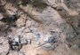 Militares da Colômbia encontram pegada que pode ser de uma das crianças desaparecidas na selva amazônica