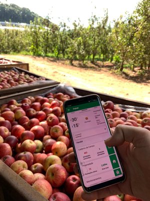 Fernando Rauber Albé / Elysios / Divulgação