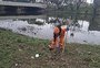 Equipes do DMLU trabalham na limpeza de área onde ficam capivaras, na margem do Arroio Dilúvio