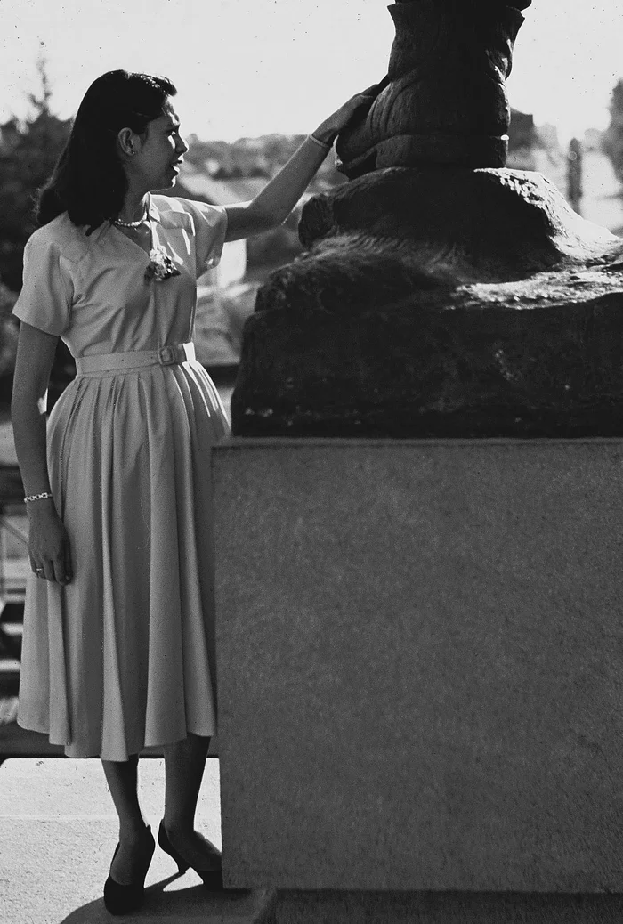 Coleção de Hildo Boff / Acevo pessoal de Ricardo Boff,divulgação