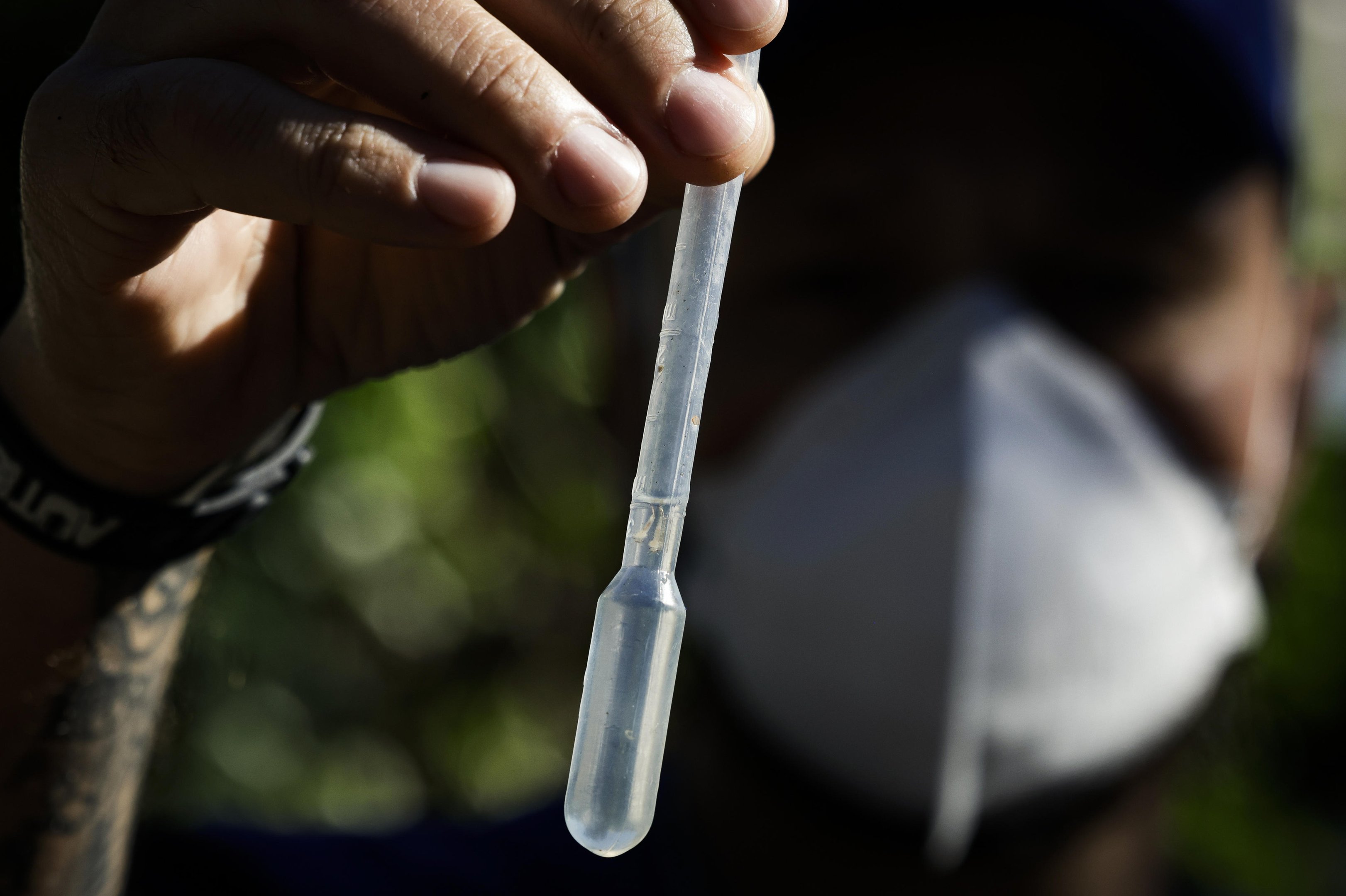 RS registra o menor n&uacute;mero de mortes por dengue em quatro anos em 2025