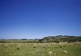 Pampa sul-americano perdeu 20% de vegetação campestre; no Brasil, bioma perdeu área equivalente a 58 vezes Porto Alegre