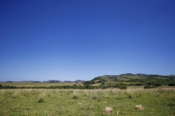 Félix Zucco / Agencia RBS Félix Zucco / Agencia RBS