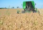 Exportações do agronegócio gaúcho registram alta de 0,1% em 2023 e alcançam recorde pelo terceiro ano consecutivo