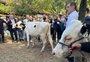 Expoleite e Fenasul voltam a Esteio, após a enchente, mirando fazer história (e recordes)