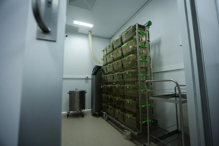 Jonathan Heckler / Agencia RBS Jonathan Heckler / Agencia RBS