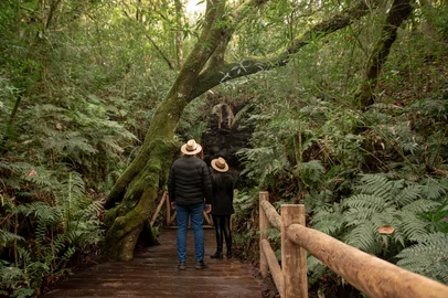 Expedição Vinotoca, o novo roteiro de enoturismo da Almadén<!-- NICAID(16093321) -->