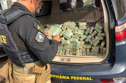 Apreensão de drogas em Ijuí<!-- NICAID(16025443) -->