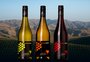 Portfólio internacional de vinícola da Serra ganha reforço com novos rótulos vindos da Nova Zelândia