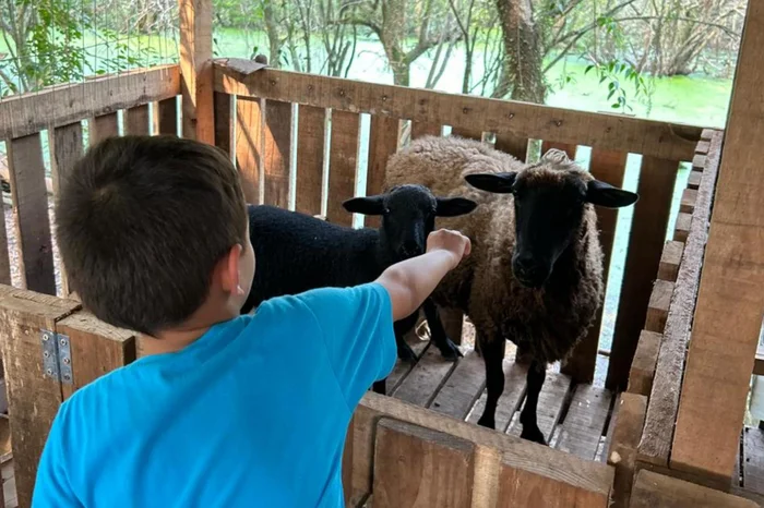 Silon Ferreira / Arquivo Pessoal