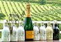 Azeite de oliva gaúcho fecha parceria com Veuve Clicquot, champanhe criado há 250 anos