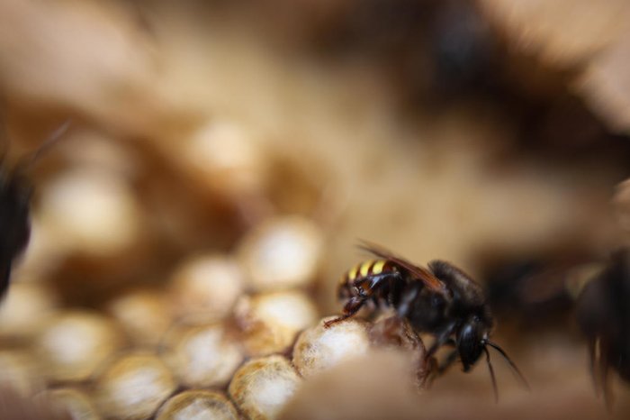 Duda Fortes / Agencia RBS