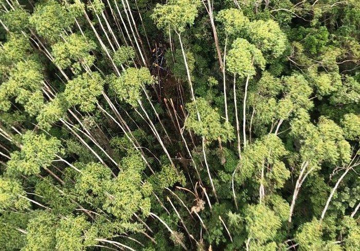 Polícia Militar de São Paulo / Twitter