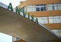Creatina: Anvisa analisa 41 marcas do suplemento no Brasil e divulga resultados; veja lista