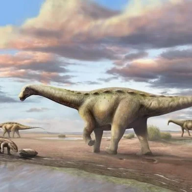 Reconstituição da nova espécie de dinossauro anão de Ibirá