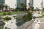 Chuva causou alguns transtornos como pontos de alagamento e galhos caídos em Porto Alegre na manhã desta sexta-feira.<!-- NICAID(15637027) -->