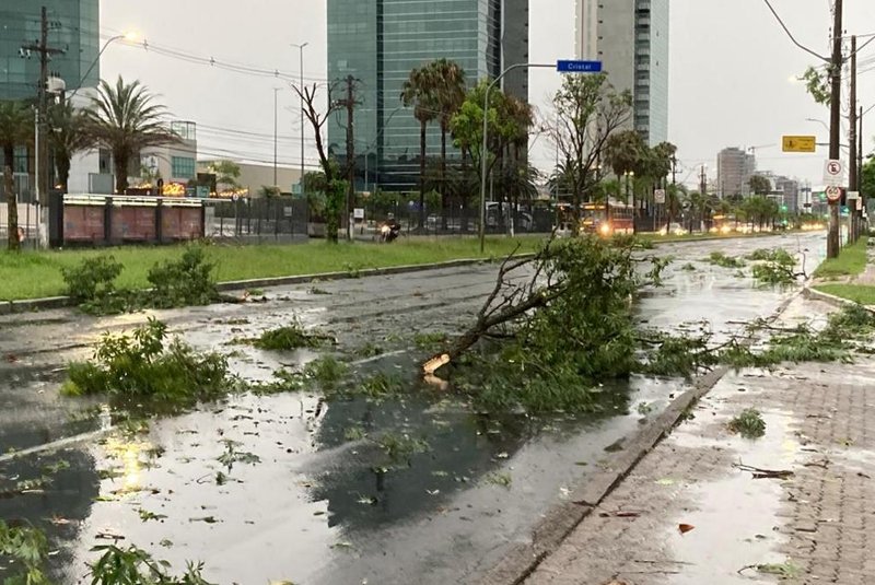 Chuva causou alguns transtornos como pontos de alagamento e galhos caídos em Porto Alegre na manhã desta sexta-feira.<!-- NICAID(15637027) -->
