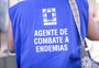 Porto Alegre decreta situação de emergência em razão da dengue