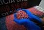 Denarc fecha laboratório na Capital e faz maior apreensão de ecstasy da história da Polícia Civil gaúcha
