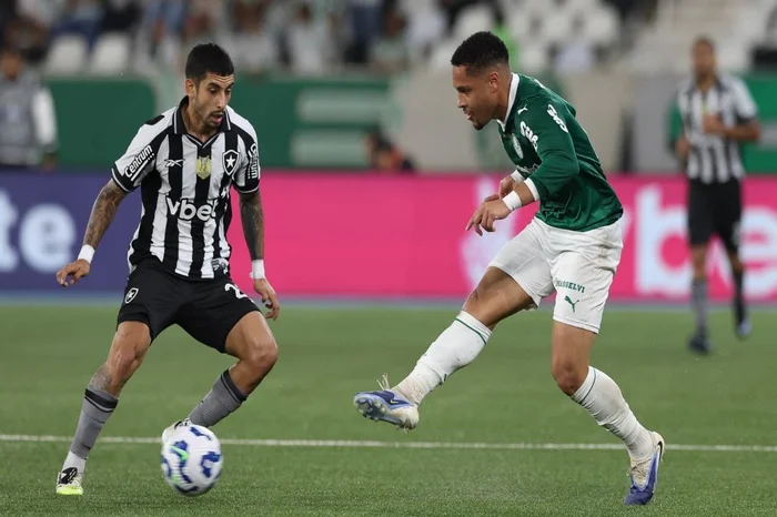 Cesar Greco / Divulgação/Palmeiras Cesar Greco / Divulgação/Palmeiras
