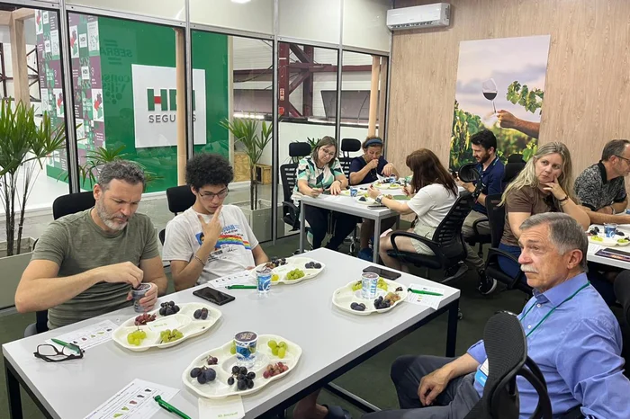 Renata Oliveira Silva / Agencia RBS