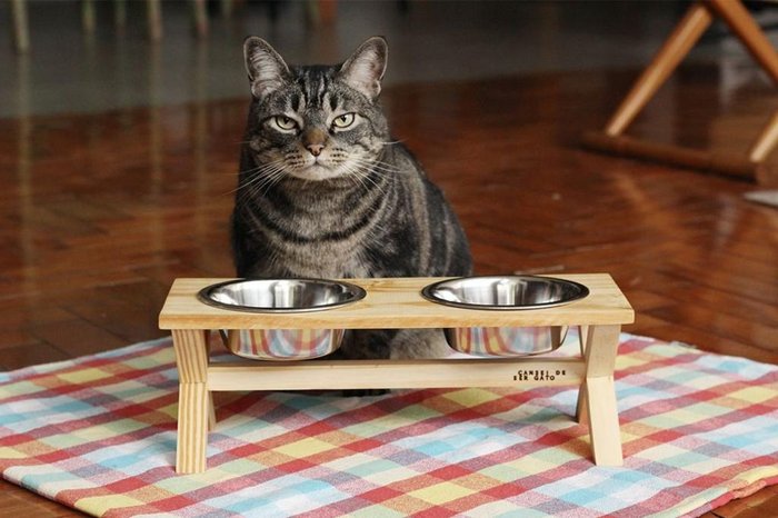 Cansei de ser gato / Divulgação Cansei de ser gato / Divulgação
