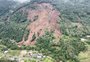 RS precisa recuperar 1,16 milhão de hectares de área nativa, avalia ONG ambiental