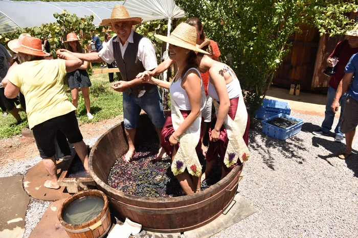 Juliane Tonin / Divulgação