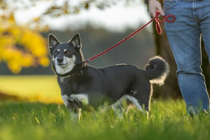 thka / Shutterstock | Portal EdiCase thka / Shutterstock | Portal EdiCase