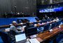 Senado aprova medida provisória que flexibiliza relações trabalhistas durante estado de calamidade